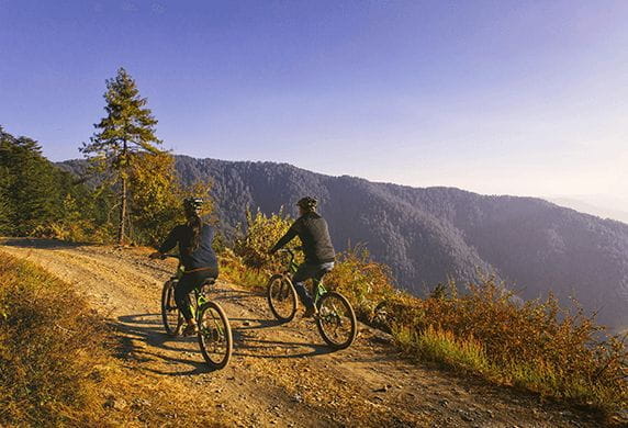 Mountain Biking Experience at 5 Star Hotel in Shimla The Oberoi Wildflower Hall